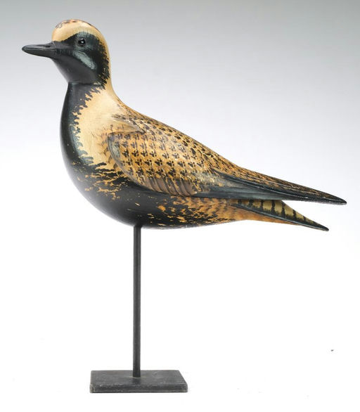 Bill Gibian – Black Bellied Plover – 2024