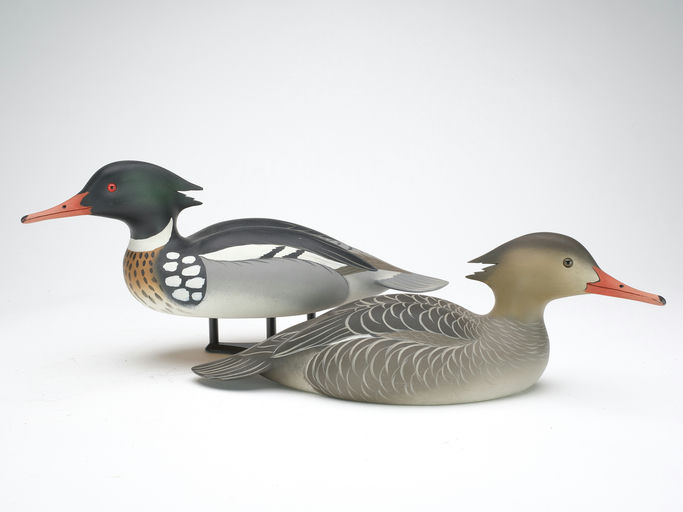 Oliver Lawson – Pair of Red-breasted Merganser – 2023