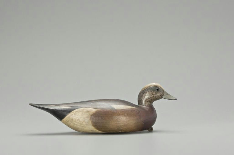 Mark McNair – Wigeon – 2018