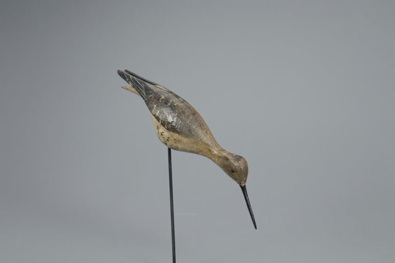 Elisha Burr – Feeding Yellowlegs – 2020