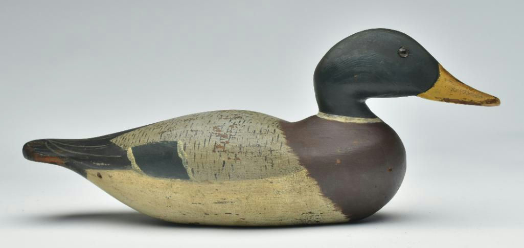 Dodge Factory – Mallard – 2023