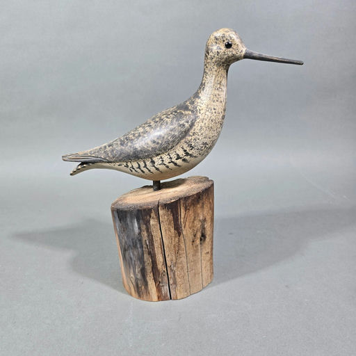 Steve Morey – Shorebird – 2026