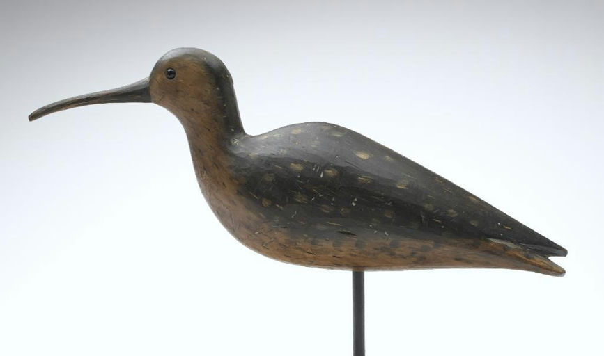 Pete Peterson – Curlew – 2023