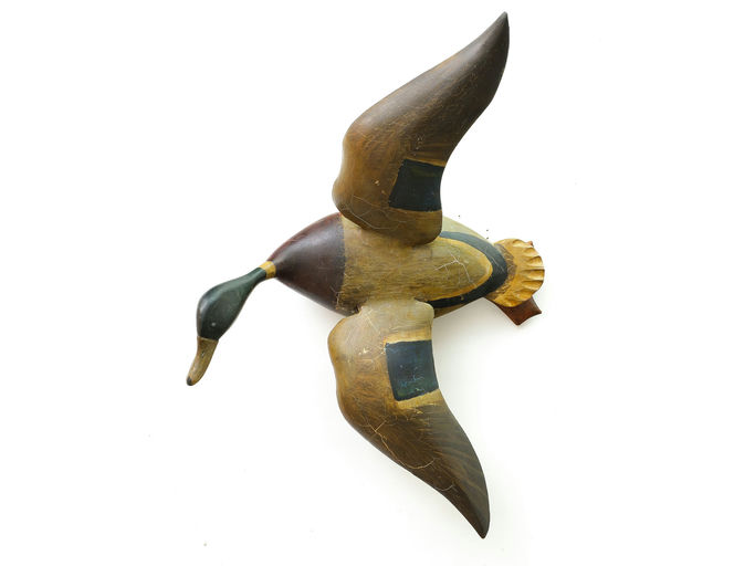 Ira Hudson – Flying Mallard – 2025