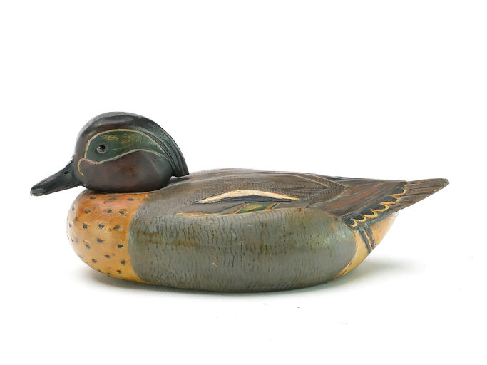Tom Schroeder – Green-winged Teal – 2025