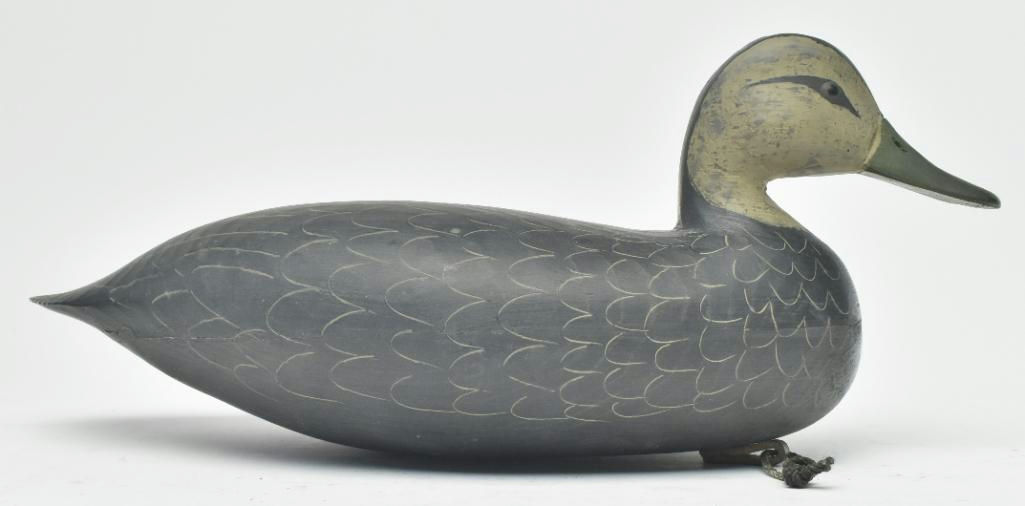 Harry V. Shourds – Black Duck – 2023