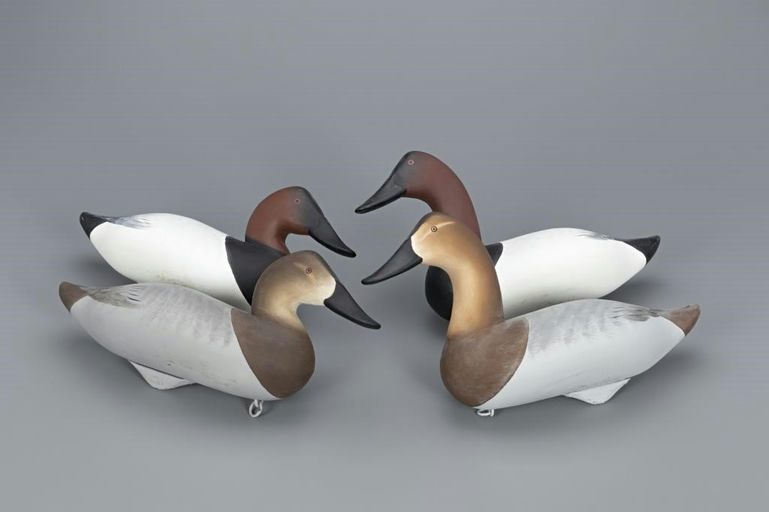 Charlie Joiner – High-Head and Low-Head Canvasback Pairs – 2019