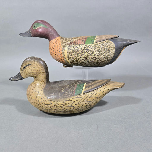 Bob White – Green-winged Teal – 2026
