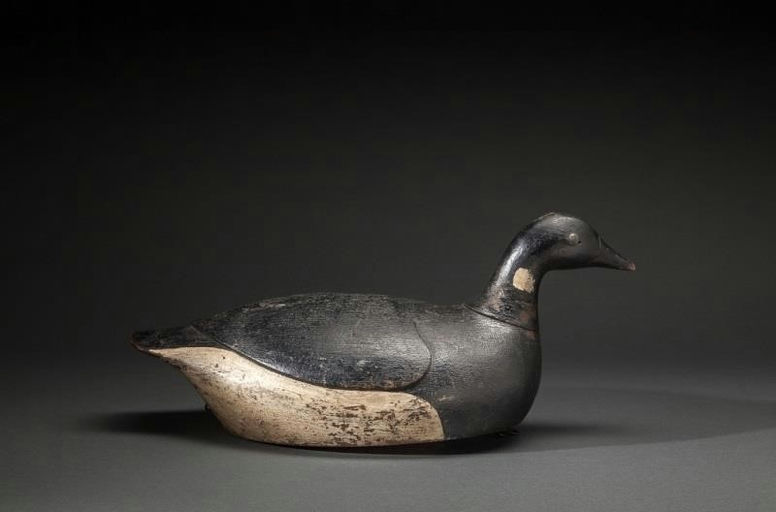 Daniel Demott – Swimming Brant – 2014
