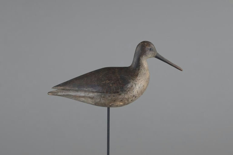 Mark McNair – Early Dowitcher – 2025
