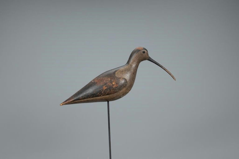 John Dilley – Rare Curlew – 2020