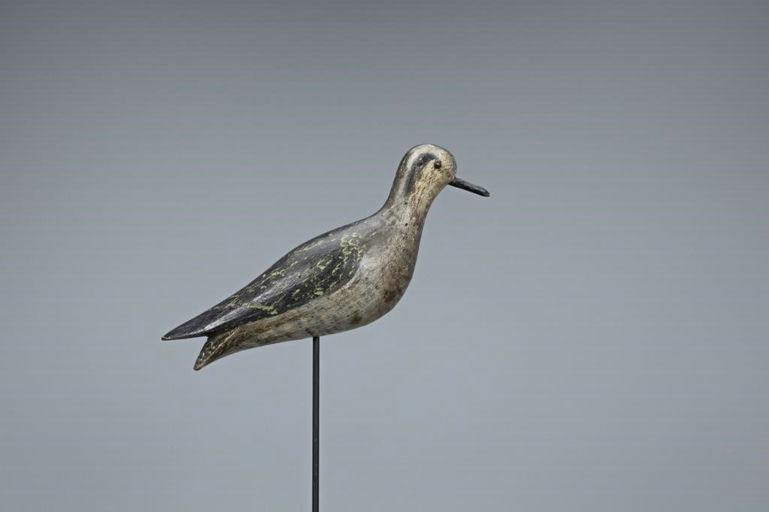 Joseph Lincoln – Important Golden Plover – 2019
