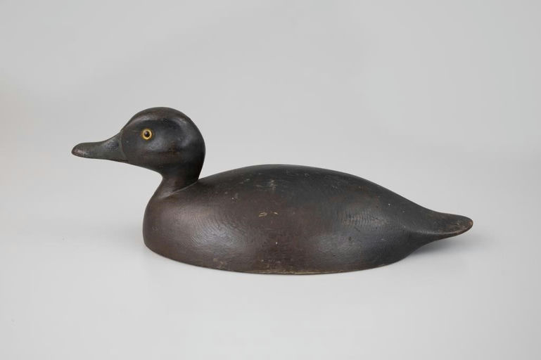 George Warin – Bluebill Hen – 2026
