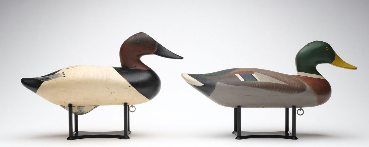 R. Madison Mitchell – Canvasback – 2026