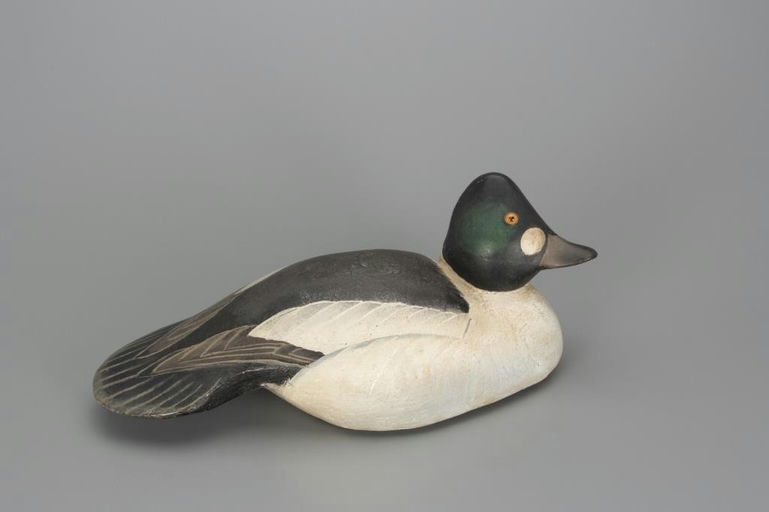 Ward Brothers – Humpback Goldeneye Drake – 2018
