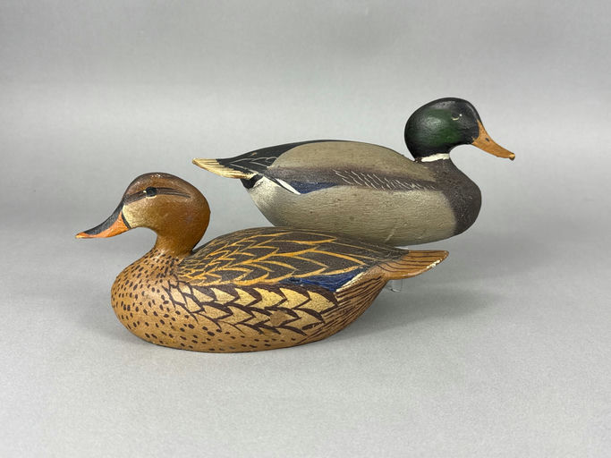 Ward Brothers – Mallard – 2026