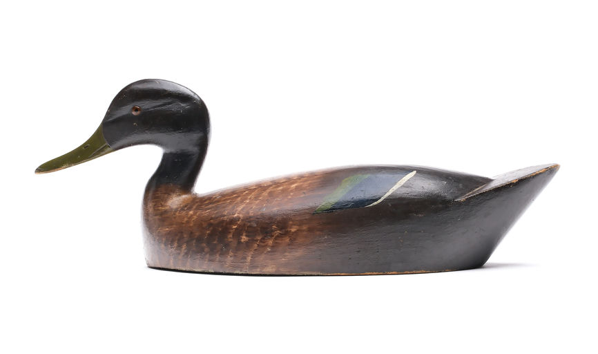 Chauncey Wheeler – Black Duck – 2025