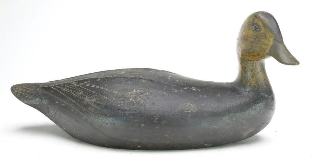 Gus Wilson – Black Duck – 2023