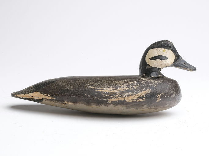 Doug Jester – Ruddy Duck – 2023