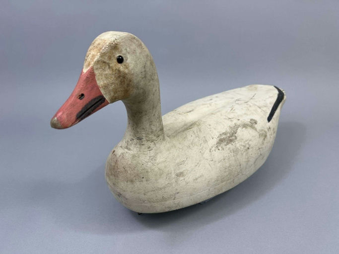 Ron Koch – Snow Goose – 2026