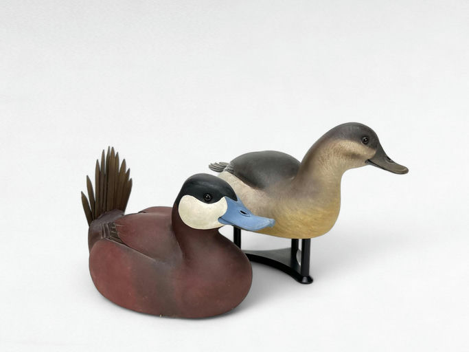 Bob Kerr — Ruddy Duck Pair