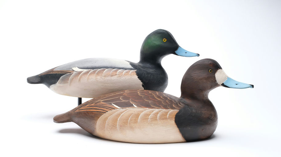 Ward Brothers – Pair of bluebills – 2025