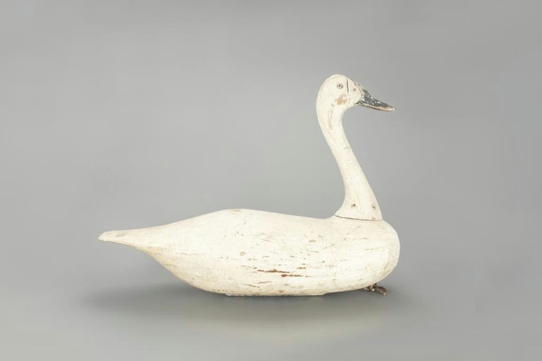 Frank Finney – Swan – 2022