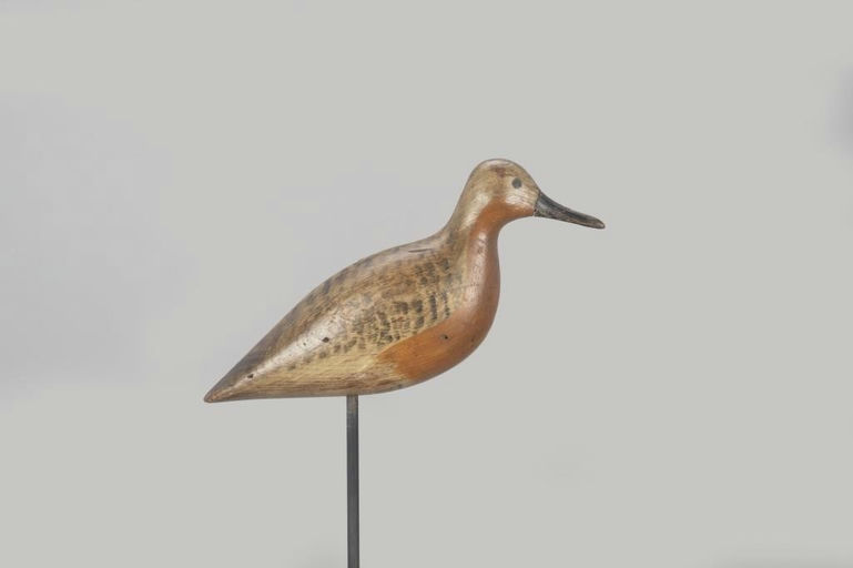 Harry V. Shourds – The Johnson Nelson Shourds Robin Snipe – 2023