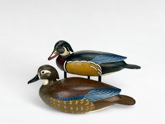 Ron Sabatini — Wood Duck Pair