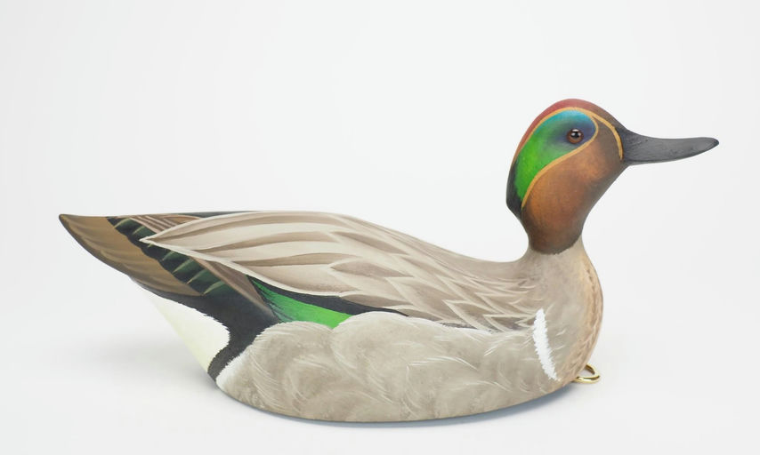Eddie Gagne — Green-winged Teal Drake