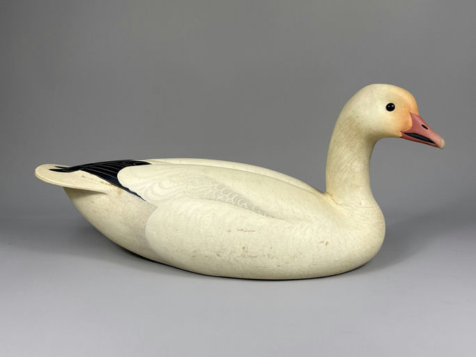 Oliver Lawson – Snow goose – 2026