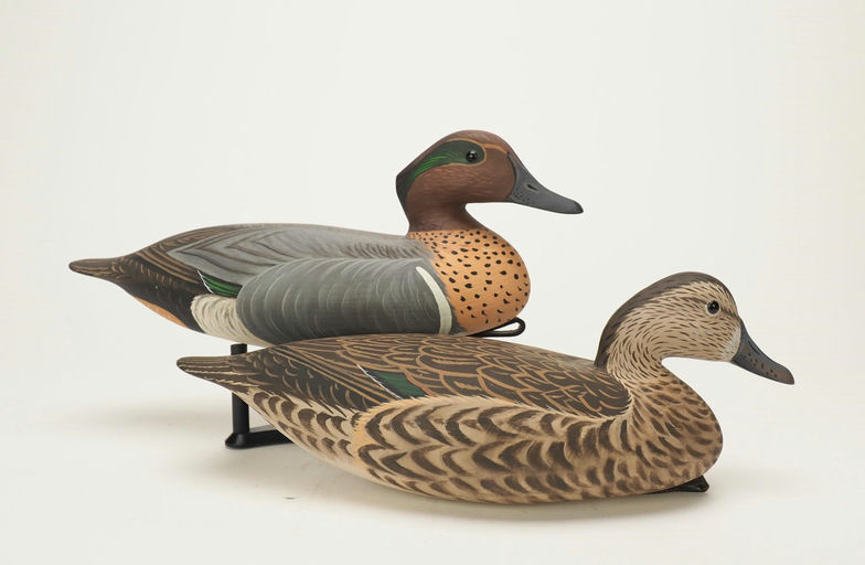 Anthony Hillman — Greenwinged Teal Pair