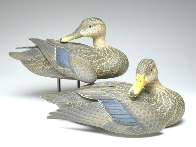 Oliver Lawson – Pair of Black Duck – 2023