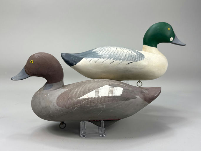 R. Madison Mitchell – Goldeneye – 2026