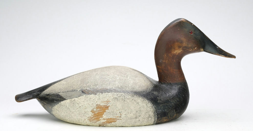 Ward Brothers – Canvasback – 2024