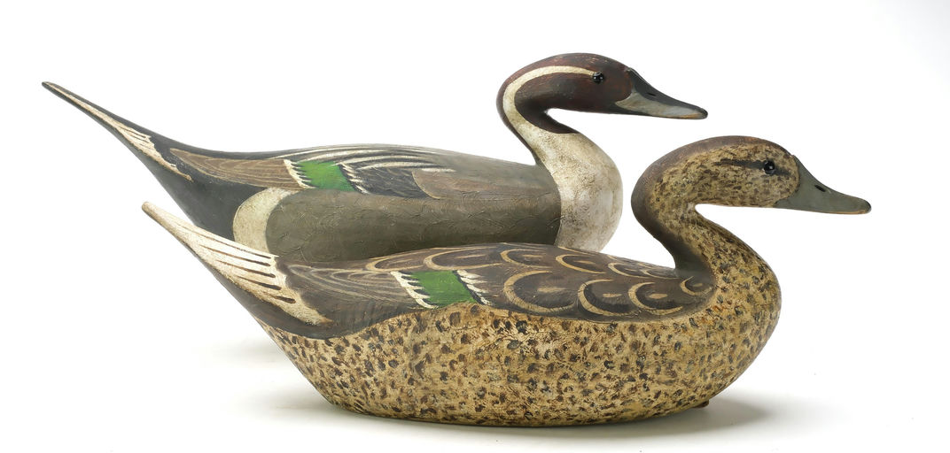 Reggie Birch – Pintail – 2025