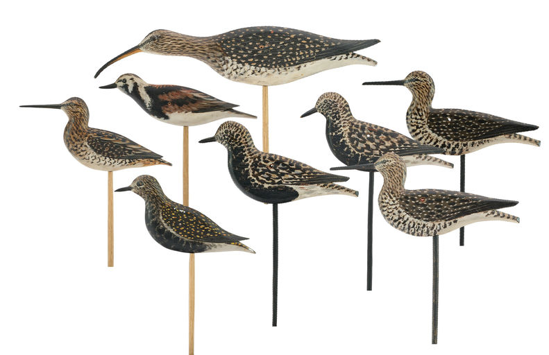Elmer Crowell – Ruddy Turnstone – 2024