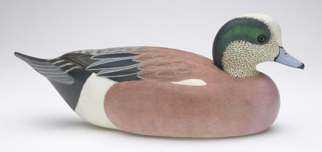 Cigar Daisey – Wigeon – 2023