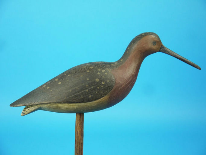 Cameron McIntyre – Red Knot – 2026