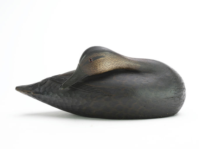 Elmer Crowell – Black Duck – 2024