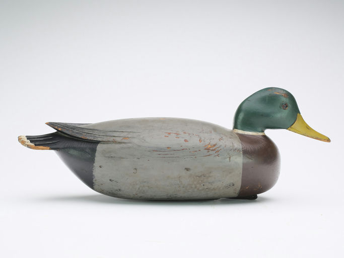 Jess Heisler – Mallard – 2024