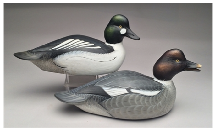 Sean Sutton – Pair of Hollow Goldeneye – 2017