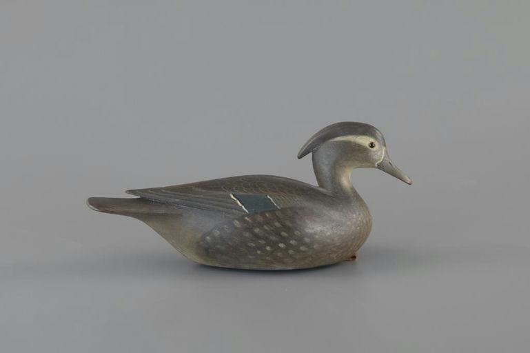Mark McNair – Rare Wood Duck Hen – 2025
