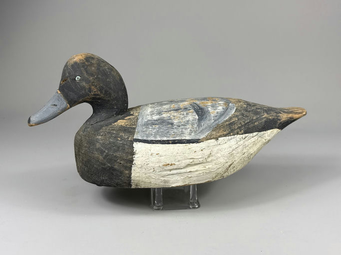 Miles Hancock – Scaup – 2026