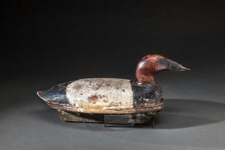 Henry "Budgen" Sampier – Canvasback Drake – 2014