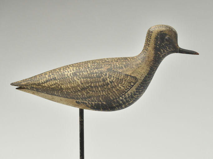 George Boyd – Black Bellied Plover – 2023