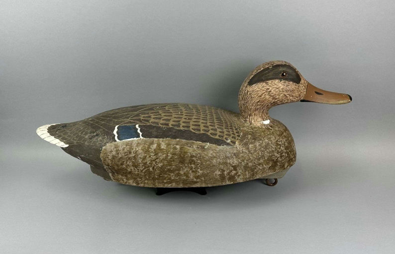 Marshall Chaloupek – Wigeon Drake – 2026