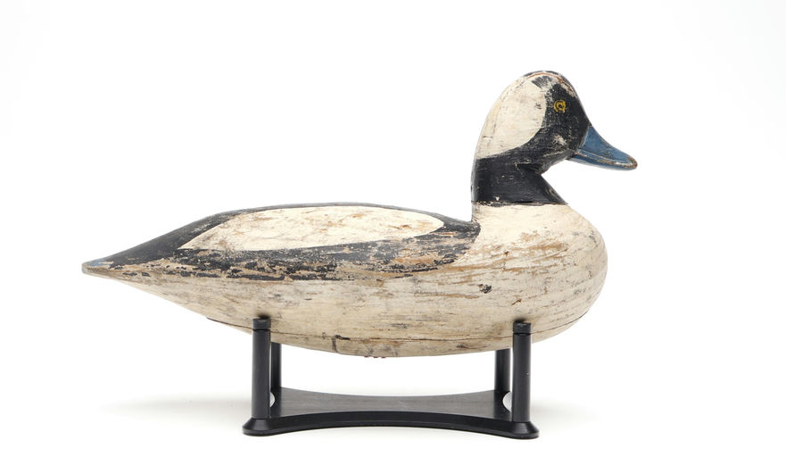 Doug Jester – Bufflehead – 2026