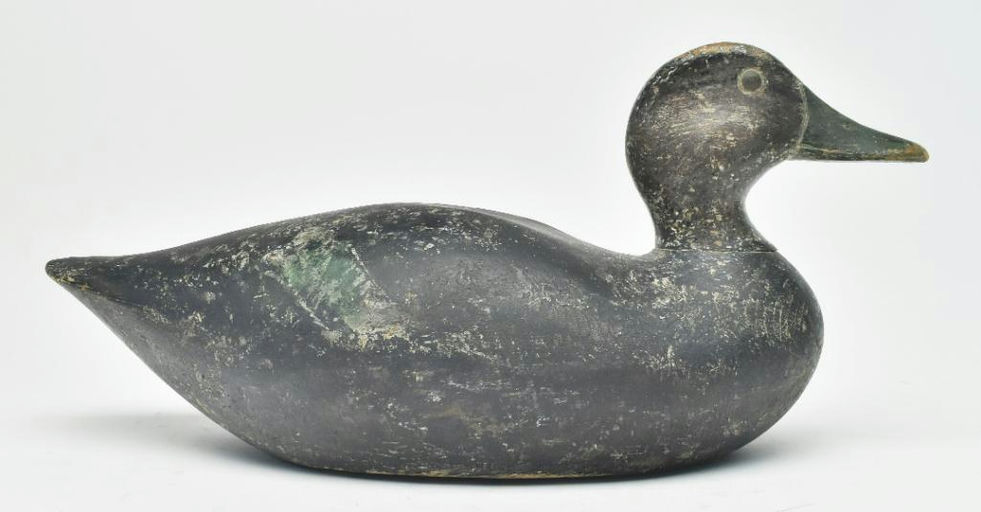 Joseph Lincoln – Black Duck – 2023