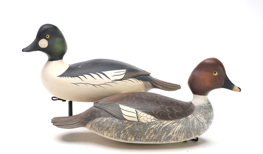 Bob White – Pair of Goldeneye – 2026